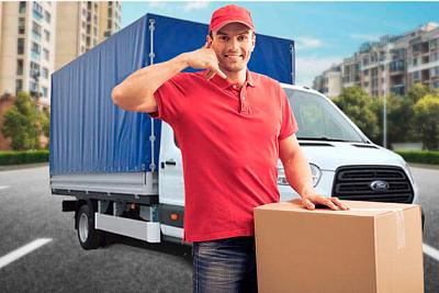 Везувий  - бесплатная доставка по Туле